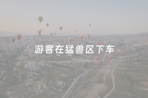 黑料“微信小程序三代必赢神器辅助器”（软件出售)