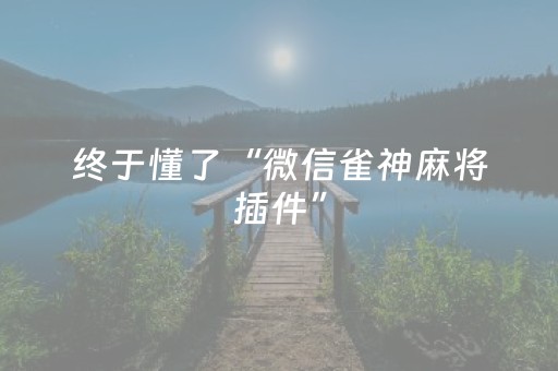 终于懂了“微信雀神麻将插件”（赢的技巧规律)