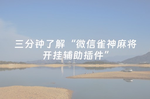 三分钟了解“微信雀神麻将开挂辅助插件”（充值会提高胜率么)