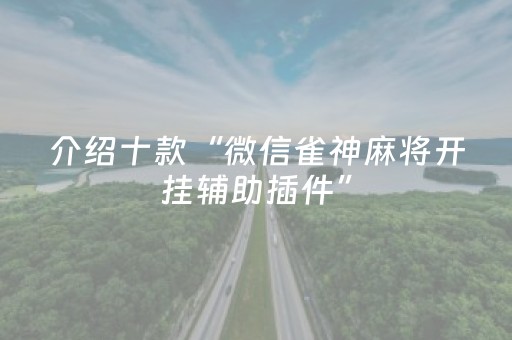 介绍十款“微信雀神麻将开挂辅助插件”（开挂辅助插件)