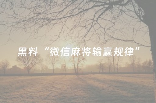 黑料“微信麻将输赢规律”（骗局大揭秘)