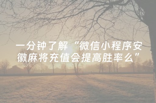 一分钟了解“微信小程序安徽麻将充值会提高胜率么”（充会员胜率高)