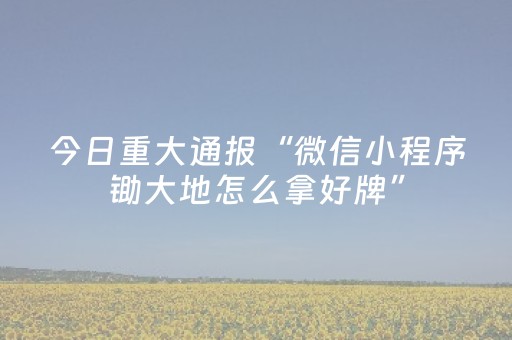 今日重大通报“微信小程序锄大地怎么拿好牌”（助攻神器)