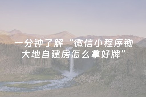 一分钟了解“微信小程序锄大地自建房怎么拿好牌”（控牌神器)