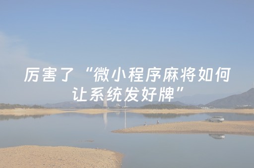 推荐十款“微信小程序江苏麻将专用神器”（开挂辅助器插件)