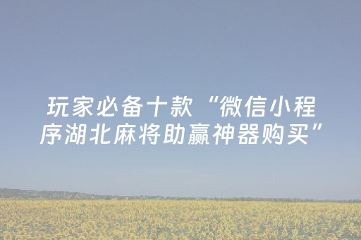 玩家必备十款“微信小程序湖北麻将助赢神器购买”（万能开挂器)