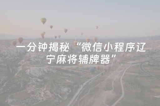 一分钟揭秘“微信小程序辽宁麻将辅牌器”（助攻神器)
