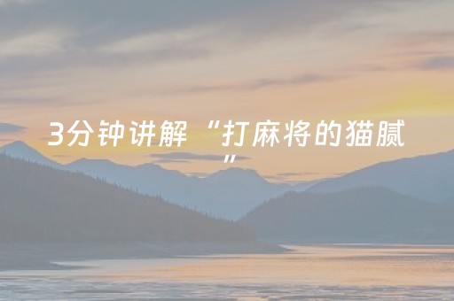 3分钟讲解“打麻将的猫腻”（怎么提高胜率)