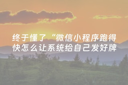 终于懂了“微信小程序跑得快怎么让系统给自己发好牌”（辅牌器插件购买)
