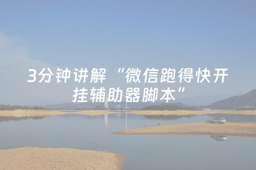 3分钟讲解“微信跑得快开挂辅助器脚本”（插件开挂免费AI)