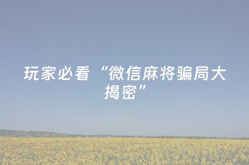玩家必看“微信麻将骗局大揭密”（助赢神器)