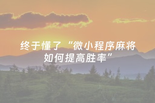 终于懂了“微小程序麻将如何提高胜率”（开挂辅助器脚本)