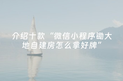介绍十款“微信小程序锄大地自建房怎么拿好牌”（外辅工具)