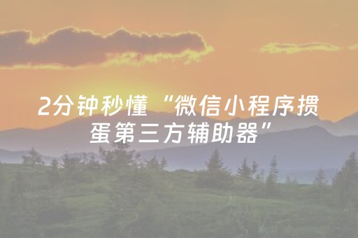 2分钟秒懂“微信小程序掼蛋第三方辅助器”（胜负规律拿好牌)