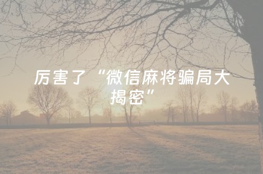 厉害了“微信麻将骗局大揭密”（自建房胜负规律)