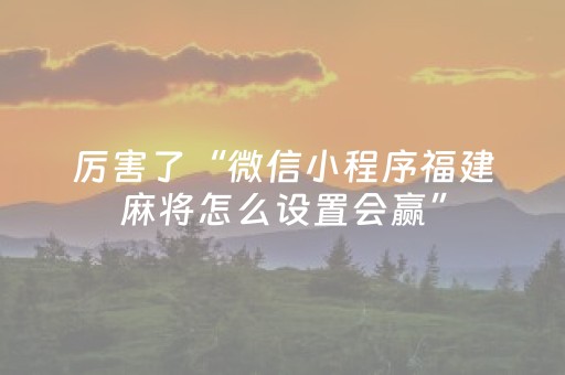 厉害了“微信小程序福建麻将怎么设置会赢”（做弊器软件下载)