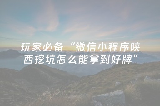玩家必备“微信小程序陕西挖坑怎么能拿到好牌”（开挂辅助插件)