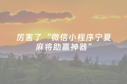 厉害了“微信小程序宁夏麻将助赢神器”（插件开挂免费AI)