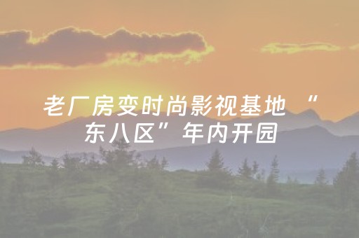 老厂房变时尚影视基地 “东八区”年内开园