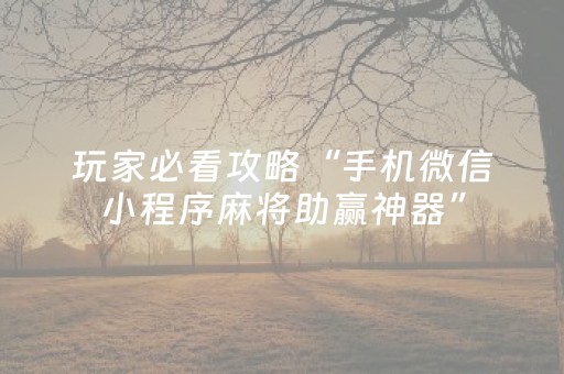 玩家必看攻略“手机微信小程序麻将助赢神器”（胜负规律拿好牌)