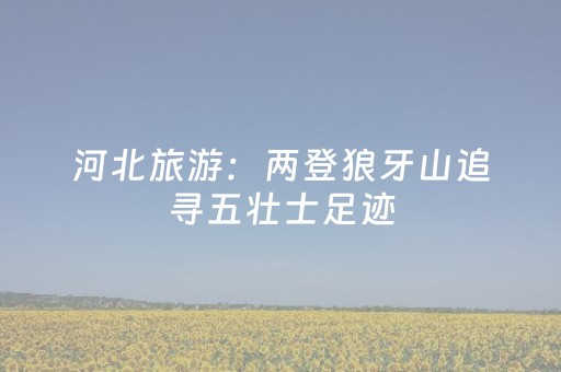 介绍十款“财神十三张辅助工具有挂”（外辅工具)
