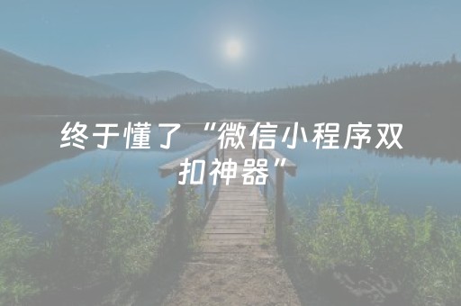 终于懂了“微信小程序双扣神器”（开挂辅助脚本)