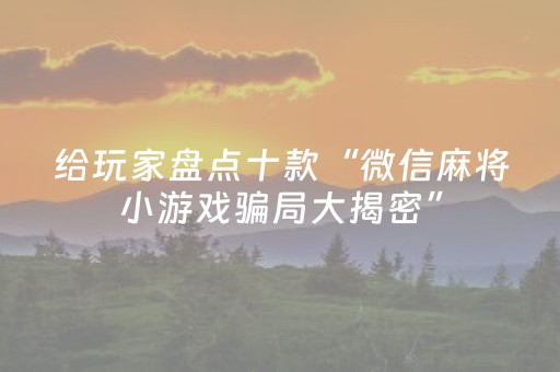 给玩家盘点十款“微信麻将小游戏骗局大揭密”（控牌神器)