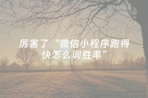 厉害了“微信小程序跑得快怎么调胜率”（插件可信吗)