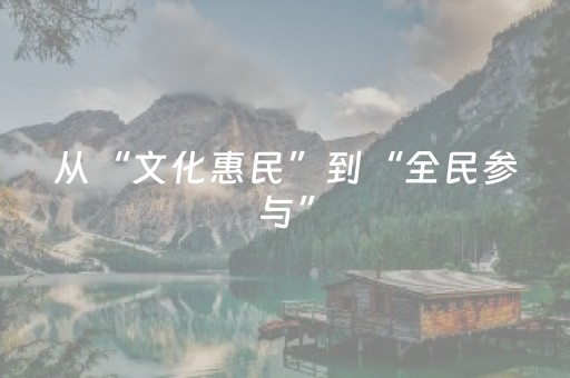 从“文化惠民”到“全民参与”