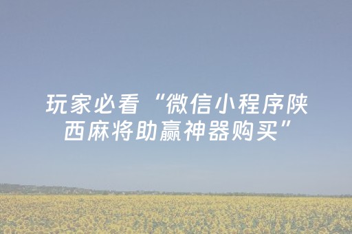 玩家必看“微信小程序陕西麻将助赢神器购买”（助攻神器)
