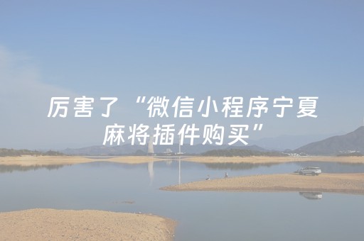 厉害了“微信小程序宁夏麻将插件购买”（神器最新免费)
