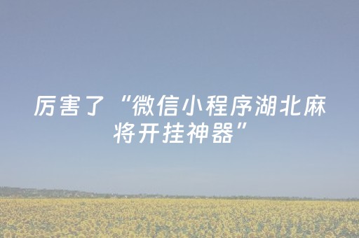 厉害了“微信小程序湖北麻将开挂神器”（发牌有什么规律吗)