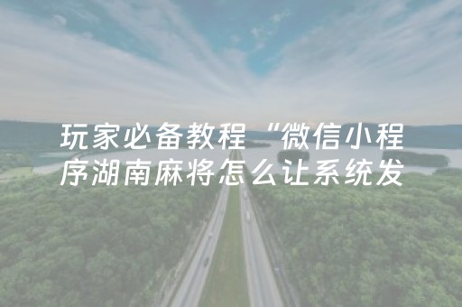 玩家必备教程“微信小程序湖南麻将怎么让系统发好牌”（辅助神器免费)