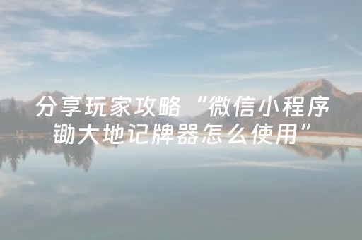 分享玩家攻略“微信小程序锄大地记牌器怎么使用”（透明挂辅助器)