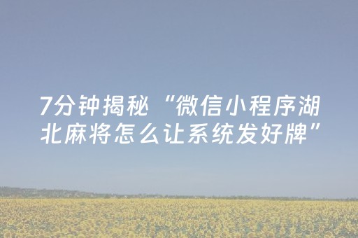 7分钟揭秘“微信小程序湖北麻将怎么让系统发好牌”（神器通用版)