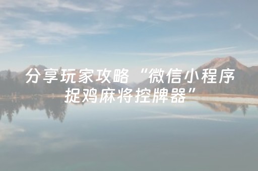 分享玩家攻略“微信小程序捉鸡麻将控牌器”（怎么才会赢)