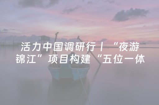 分享玩家攻略“填大坑游戏为啥一直输”（装挂怎么安装)