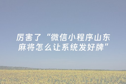 厉害了“微信小程序山东麻将怎么让系统发好牌”（辅助挂发牌规律)