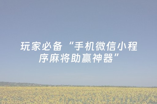 玩家必备“手机微信小程序麻将助赢神器”（充会员胜率高)