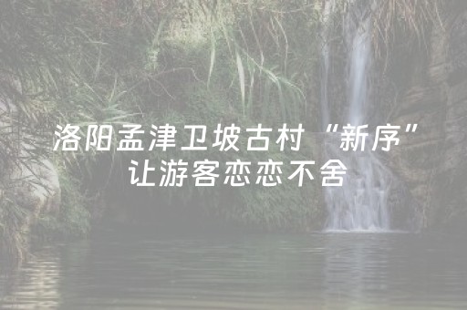 文化快评｜石家庄城市音乐IP缘何火了