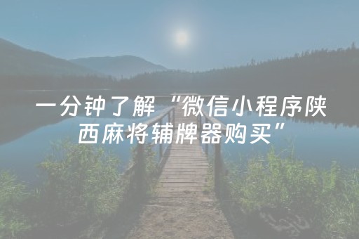 一分钟了解“微信小程序陕西麻将辅牌器购买”（辅助器插件)