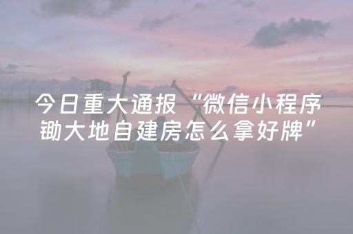 今日重大通报“微信小程序锄大地自建房怎么拿好牌”（辅助器插件)