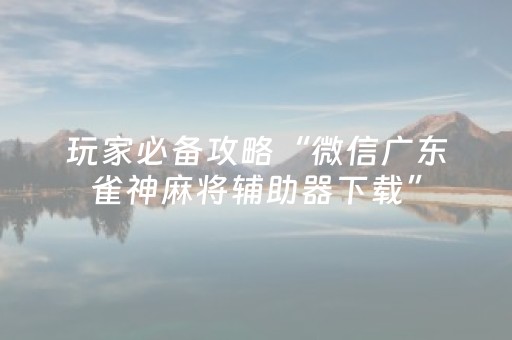 玩家必备攻略“微信广东雀神麻将辅助器下载”（怎么设置才能赢)