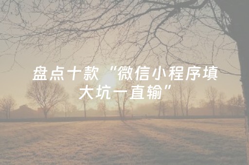 盘点十款“微信小程序填大坑一直输”（辅牌器插件购买)