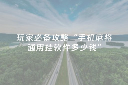玩家必备攻略“手机麻将通用挂软件多少钱”（开挂神器下载)