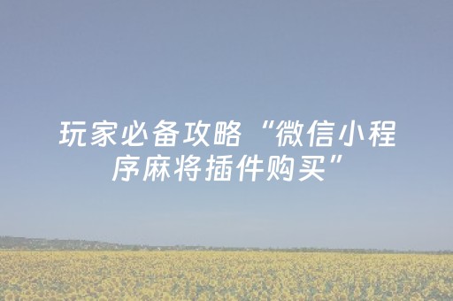 玩家必备攻略“微信小程序麻将插件购买”（好友房怎么才能赢)