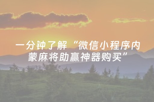 一分钟了解“微信小程序内蒙麻将助赢神器购买”（辅助器插件)