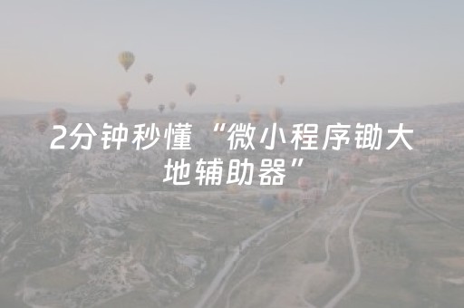 2分钟秒懂“微小程序锄大地辅助器”（怎么设置能有好牌)