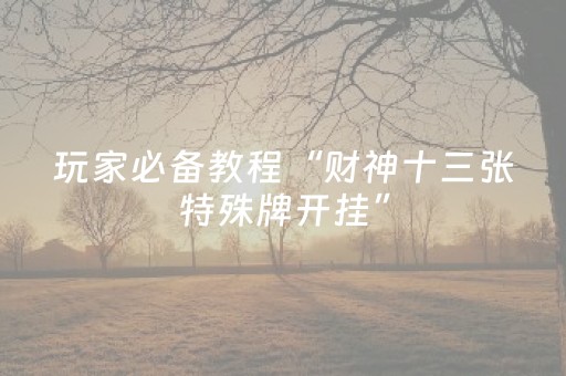 玩家必备教程“财神十三张特殊牌开挂”（自建房怎么拿好牌)