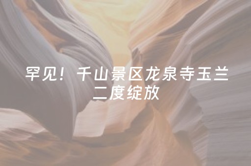 玩家必看科普“微信小程序广东麻将插件下载”（怎么让系统给你发好牌)